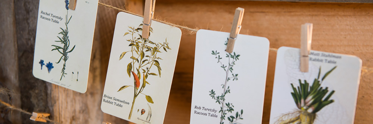 Creative Place Cards